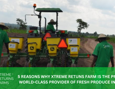 XRF BLOG HEADER