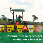 ESSENTIAL TIPS TO PREVENT CROP LOSS DURING THE RAINY SEASON