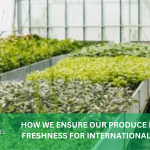 HOW WE ENSURE OUR PRODUCE MAINTAINS FRESHNESS FOR INTERNATIONAL SHIPPING