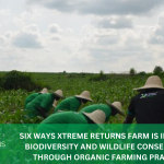 SIX WAYS XTREME RETURNS FARM IS IMPROVING BIODIVERSITY AND WILDLIFE CONSERVATION THROUGH ORGANIC FARMING PRACTICES