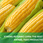 XTREME RETURNS CORN: THE BEST CORN FOR ANIMAL FEED PRODUCTION