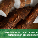 WHY XTREME RETURNS CASSAVA IS A GAME CHANGER FOR STARCH PROCESSING