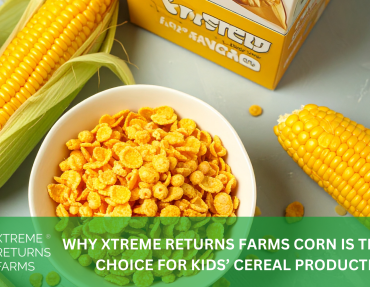 XRF BLOG HEADER 22