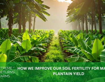 XRF BLOG HEADER 30 XRF BLOG HEADER 30