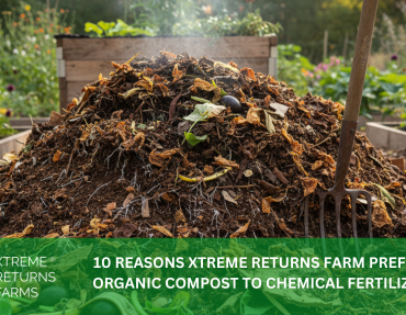 XRF BLOG HEADER 32 XRF BLOG HEADER 32