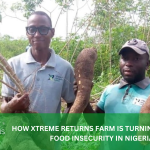 HOW XTREME RETURNS FARM IS TURNING AROUND FOOD INSECURITY IN NIGERIA